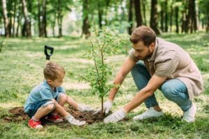 5 Most Important Fall Tree Care Tips 1