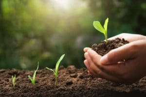 4 Essentials For Soil Health