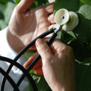 A hand holding a stethoscope to a plant leaf.