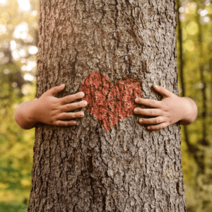 hands hugging tree