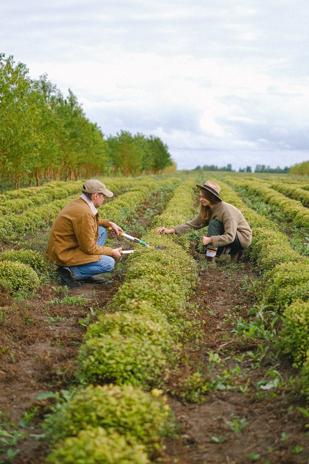 huge country like community garden for environmental justice